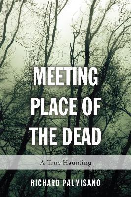 Meeting Place of the Dead: A True Haunting - Richard Palmisano