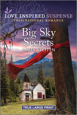Big Sky Secrets - Amity Steffen