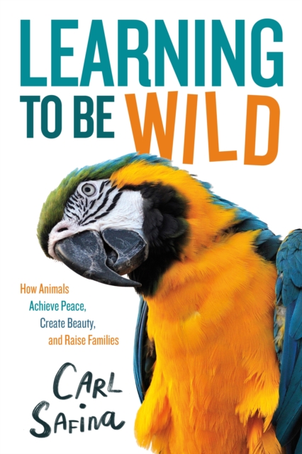 Learning to Be Wild (a Young Reader's Adaptation): How Animals Achieve Peace, Create Beauty, and Raise Families - Carl Safina