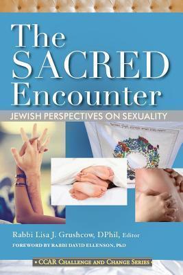 The Sacred Encounter: Jewish Perspectives on Sexuality - Lisa J. Grushcow