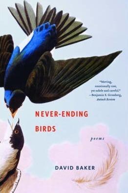 Never-Ending Birds: Poems - David Baker