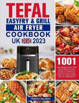 Tefal EasyFry & Grill Air Fryer UK Cookbook 2023: 1001-Day Delicious Quick, Tasty and No-Stress Air Fryer Recipes For Beginners & Advanced Users to En - Teresa Galindo