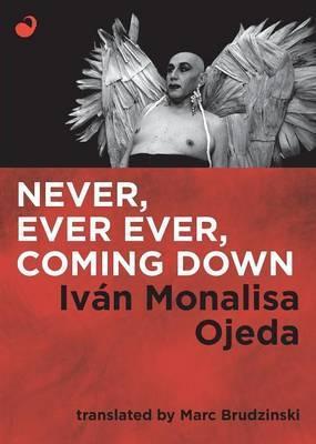 Never, Ever Ever, Coming Down - Iván Monalisa Ojeda