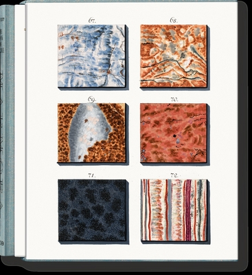 Jan Christiaan Sepp. the Book of Marble - Geert-jan Koot