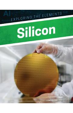 Poza produsului Silicon - Clara Maccarald