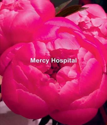 Ida Applebroog: Mercy Hospital - Ida Applebroog
