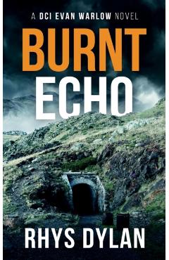 Burnt Echo - Rhys Dylan