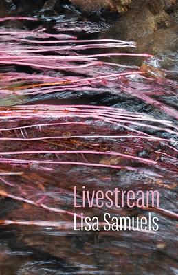 Livestream - Lisa Samuels