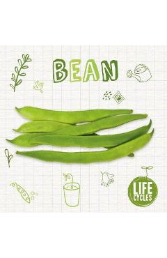 Coperta cărții 'Bean - Brenda Mchale'