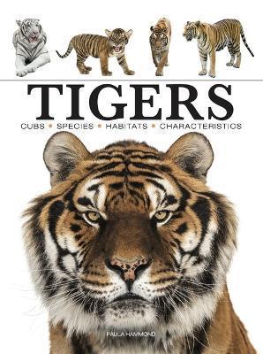 Tigers - Paula Hammond