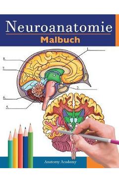 Coperta cărții 'Neuroanatomie Malbuch: Detailliertes Malbuch zum Selbsttest des menschlichen Gehirns für die Neurowissenschaften'