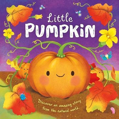 Nature Stories: Little Pumpkin: Padded Board Book - Igloobooks