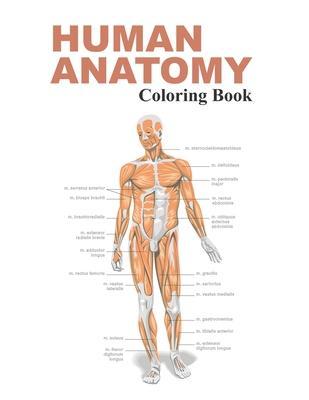 Human Anatomy Coloring Book: The Anatomy Coloring Book - Fk Publishing