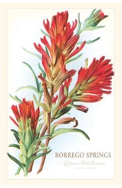 Coperta cărții 'Vintage Journal Borrego Springs, Wildflowers - Found Image Press'