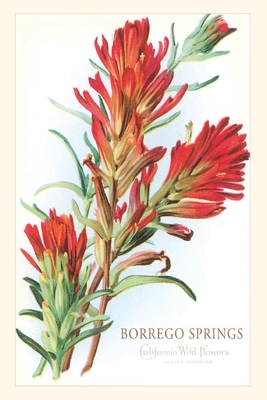 Coperta cărții 'Vintage Journal Borrego Springs, Wildflowers - Found Image Press'