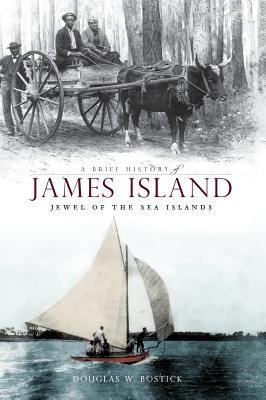 A Brief History of James Island: Jewel of the Sea Islands - Douglas W. Bostick