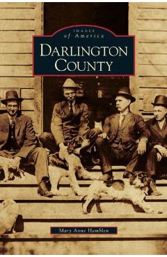 Coperta cărții 'Darlington County - Mary Anne Hamblen'