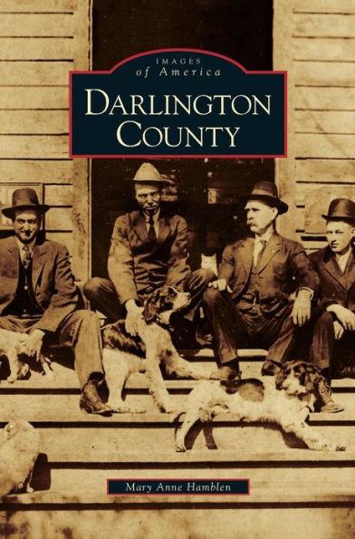 Coperta cărții 'Darlington County - Mary Anne Hamblen'