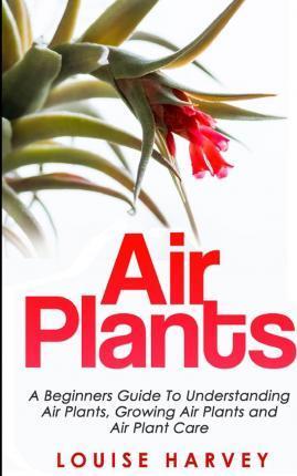 Air Plants: A Beginners Guide To Understanding Air Plants, Growing Air Plants and Air Plant Care (Booklet) - Louise Harvey