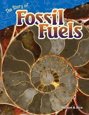 The Story of Fossil Fuels - William B. Rice