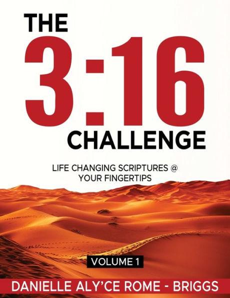 The 3: 16 Challenge: Life Changing Scriptures @ Your Fingertips - Danielle Aly'ce Rome -. Briggs