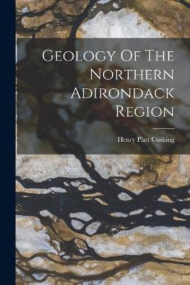 Geology Of The Northern Adirondack Region - Henry Platt Cushing