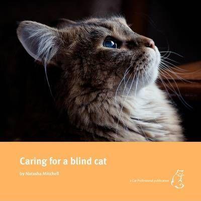 Caring for a blind cat - Natasha Mitchell