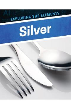 Coperta cărții 'Silver - Henrietta Toth'