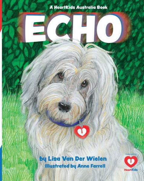 Echo - Lisa Van Der Wielen
