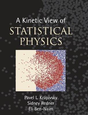 A Kinetic View of Statistical Physics - Pavel L. Krapivsky