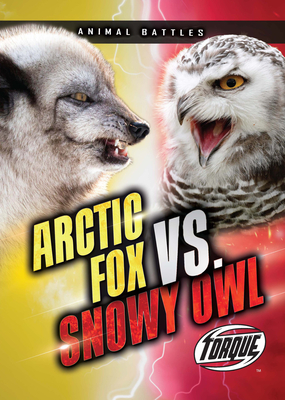 Arctic Fox vs. Snowy Owl - Nathan Sommer