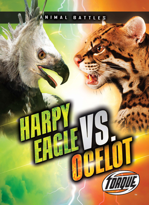 Harpy Eagle vs. Ocelot - Nathan Sommer