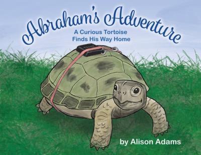 Abraham's Adventure - Alison Adams