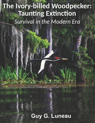 The Ivory-billed Woodpecker: Taunting Extinction: Survival in the Modern Era - Matt Courtman
