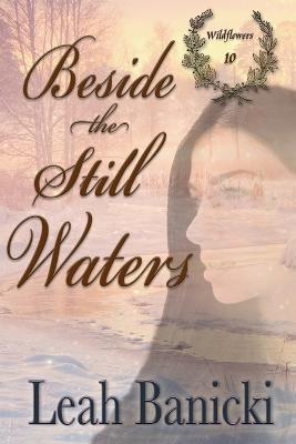 Beside the Still Waters: Western Romance on the Frontier - Leah Banicki