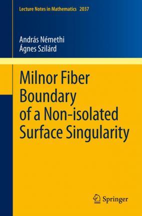 Milnor Fiber Boundary of a Non-Isolated Surface Singularity - Andrs Nmethi
