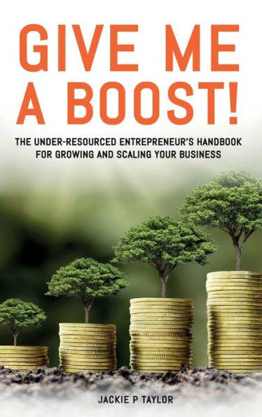 Give Me A Boost!: The Under-Resourced Entrepreneur's Handbook for Growing and Scaling Your Business - Jackie P. Taylor