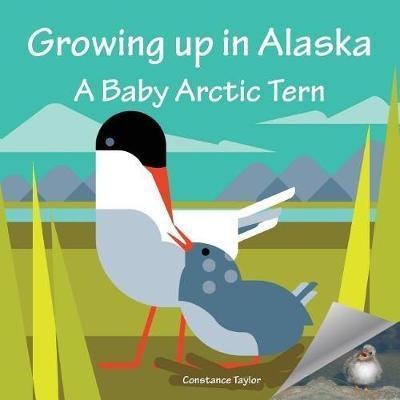 Growing up in Alaska: A Baby Arctic Tern - Constance Taylor