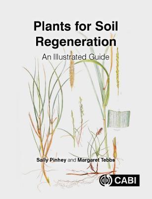 Plants for Soil Regeneration: An Illustrated Guide - Sally Pinhey