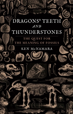 Dragons' Teeth and Thunderstones: The Quest for the Meaning of Fossils - Ken Mcnamara