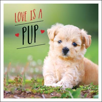 Love Is a Pup: A Dog-Tastic Celebration of the World's Cutest Puppies - Charlie Ellis