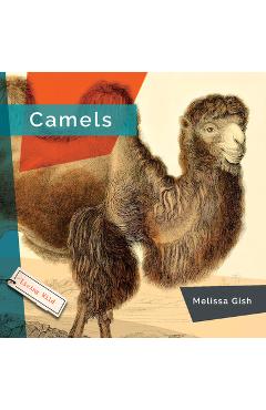 Coperta cărții 'Camels - Melissa Gish'