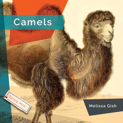 Coperta cărții 'Camels - Melissa Gish'