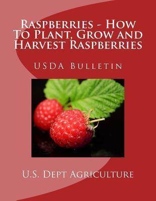 Raspberries - How To Plant, Grow and Harvest Raspberries: USDA Bulletin - Roger Chambers