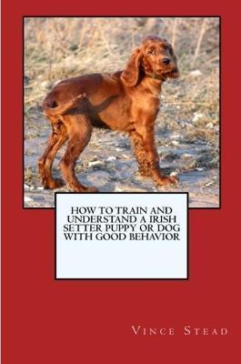 How to Train and Raise a Irish Setter Puppy or Dog with Good Behavior - Vince Stead