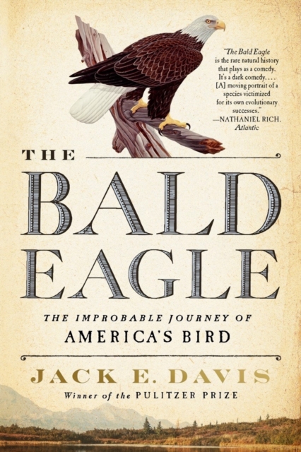The Bald Eagle: The Improbable Journey of America's Bird - Jack E. Davis