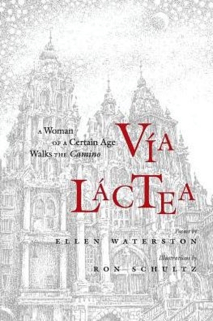 Via Lactea: A Woman of a Certain Age Walks the Camino - Ellen Waterston