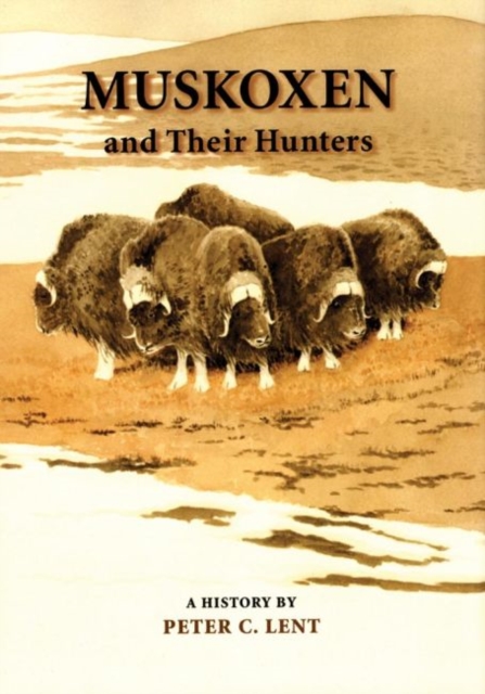 Muskoxen and Their Hunters, 5: A History - Peter C. Lent