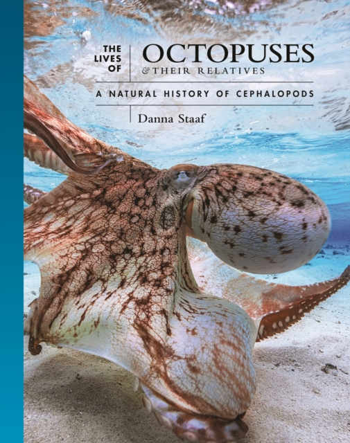 The Lives of Octopuses and Their Relatives: A Natural History of Cephalopods - Danna Staaf