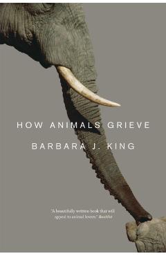 How Animals Grieve - Barbara J. King
